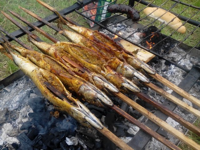 Rybářské závody mládeže 2015